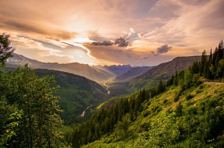 mountains, trees, sky-1852955.jpg